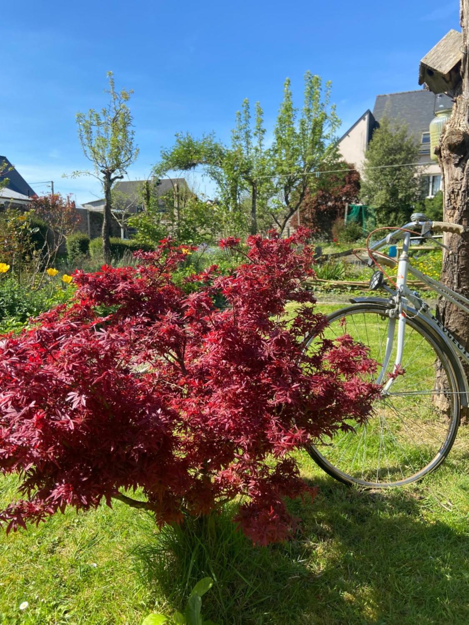 Bed and Breakfast Atipyk'Ododo Saint-James Zewnętrze zdjęcie